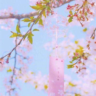 女王计划九游版下载